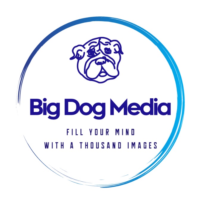 The Big Dog Media - Brian R OCallaghan - Author